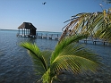 70Laguna Bacalar